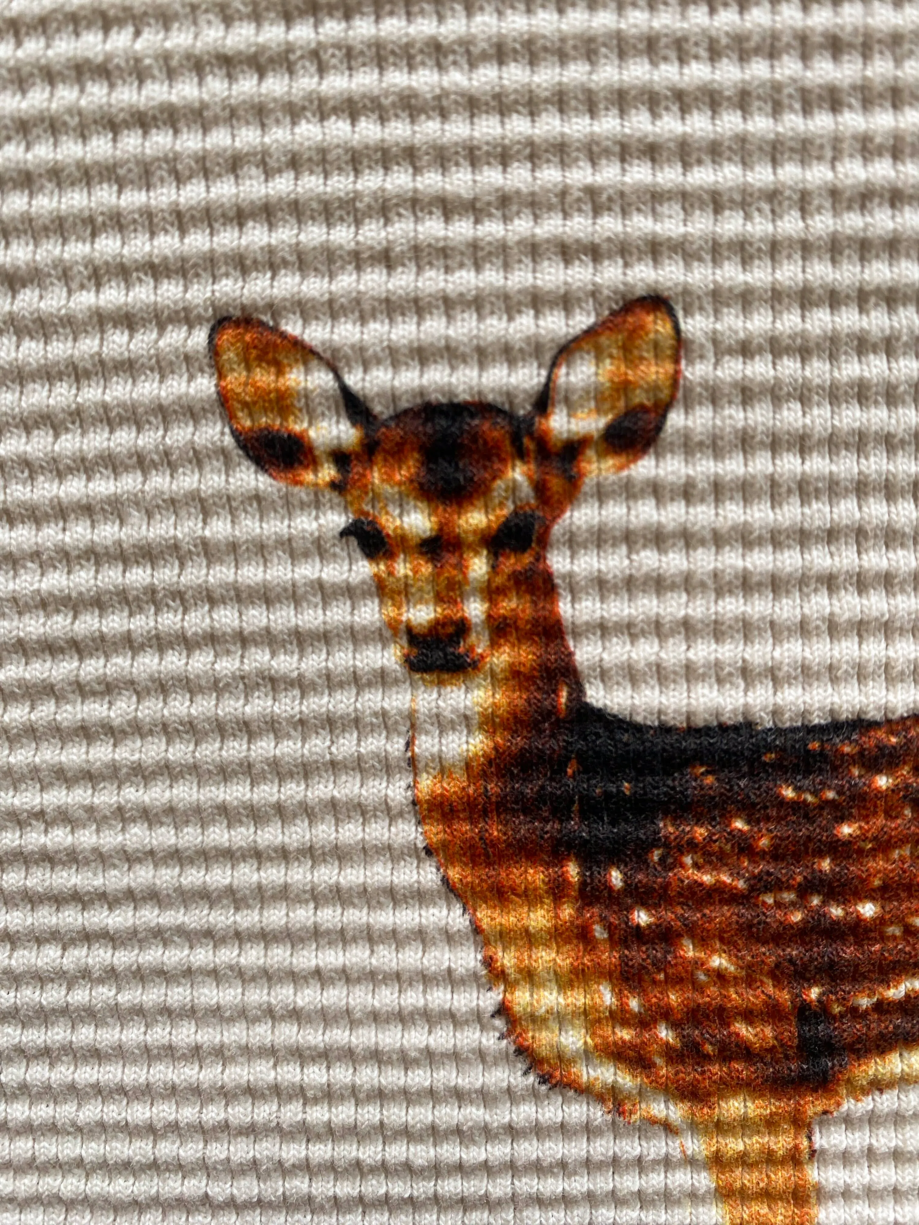 Deer Group Thermal