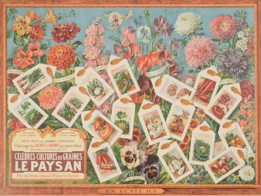 Vintage French Seed Advertising Poster – "Le Paysan" 20¾" x 27¼"